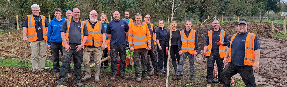 A group of workers in high-vis planting a tree